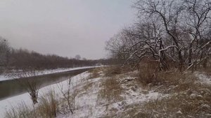 Охота на утку с подхода, ноябрь 2022 года