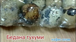 Минг дардга даво Бедана тухуми