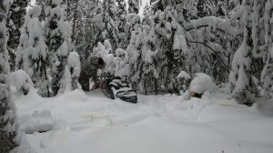 Подготовка к сезону охоты на пушнину! Таёжный быт!