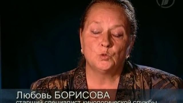 Тайны Века. Меньшие братья по оружию