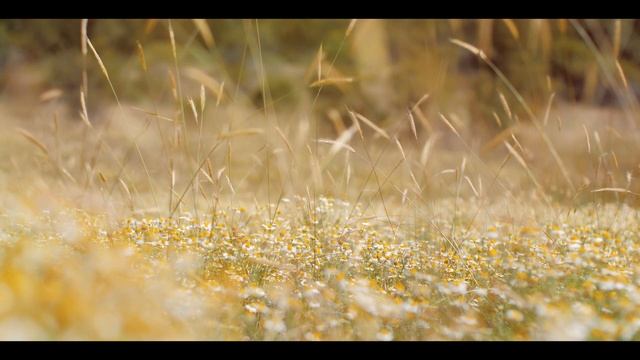 Анна Богатская - Как Ты прекрасен (Премьера клипа, 2024) смотреть онлайн