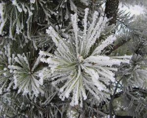 Лепетан Мор Фильм - Зимушка... 4 часть.