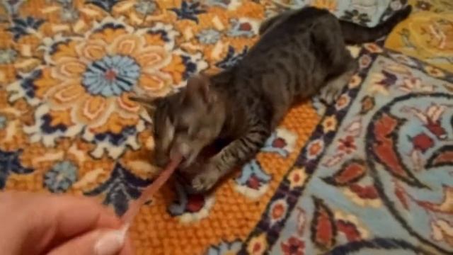 Маруська крысоловка смотреть онлайн