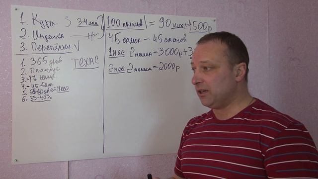 ПЕРЕПЕЛА КАК БИЗНЕС  ВЫГОДНО ЛИ РАЗВЕДЕНИЕ И ВЫРАЩИВАНИЕ ПЕРЕПЕЛОВ  ЛИЧНЫЙ ОПЫТ