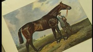 Калдэр - Ирландский центр разведения скаковых лошадей