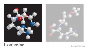 N-acetylcarnosine, Cataracts and Can-C Eyedrops
