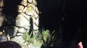 Ведьмак 3. Нитинг.