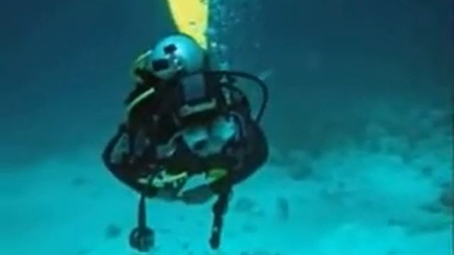 La Habana y Cayo Largo 2008 смотреть онлайн