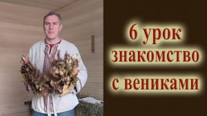 6 урок знакомство с вениками при банном парении как парить в бане