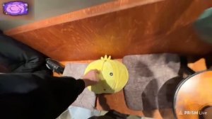 ХАЗЯЕВА УЛЕТАЮТ В ТУРЦИЮ К ПЛОХОМУ ПАРНЮ | Кореш, Парадеевич и Данила Горилла