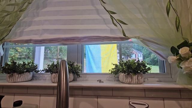 США. Нежный печёночный паштет.Наблюдаем птичьи бои.Счастливый Бади.