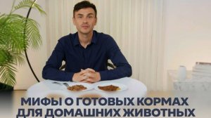 Мифы о кормах для домашних животных: что важно знать?