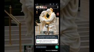 Как опубликовать длинное видео в статусе WhatsApp