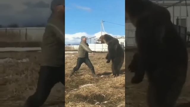 День медведя 🐻 в России