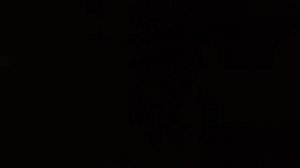 Пророчество о будущем мира.