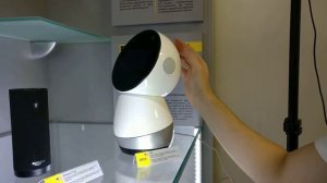 Робот Jibo