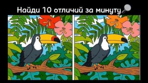 Найди 10 отличий за 1 минуту | Ответ в конце