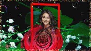 ❤️️🌹❤️️   КАКАЯ  ШИКАРНАЯ  ПЕСНЯ !  РОЗА  АЛАЯ !   АМИРИНА !!!