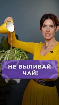 Почему НЕЛЬЗЯ выливать чай в растения？ #растения #уход #садоводство