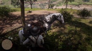 RDR2 Охота на легендарного койота