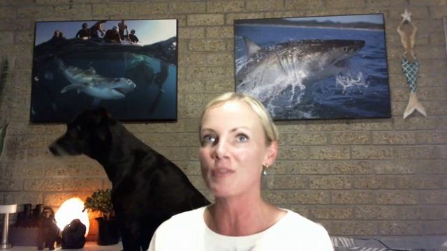 The Changing Dynamics of White Shark Populations in South Africa