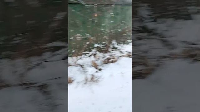 ВОДУ ДОМОЙ ВЕЗУ. | (ХОЛОДНО) | СРЕДА. | ⟨22.11.2023⟩ | 14:48