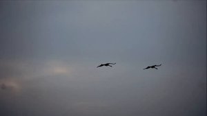 Кельты 2 музыка