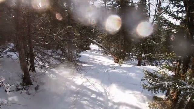 Гусеничный гидравлический мини вездеход езда по лесу смотреть онлайн