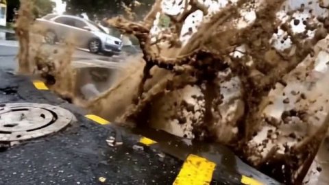 vidu-general-4-2024-12-10T13_49_33Z