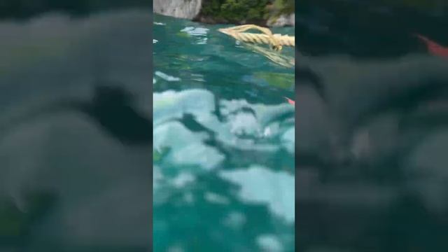 Тайланд. Ныряем под воду #ешсережвтае #ежсереж #ешсереж #тайланд