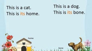 Possessive Adjectives: my your, his, her, its, our, your, their