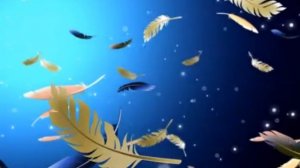 Футажи  Перья 1