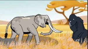 Elephant Vs Gorilla animation —all animation dc2