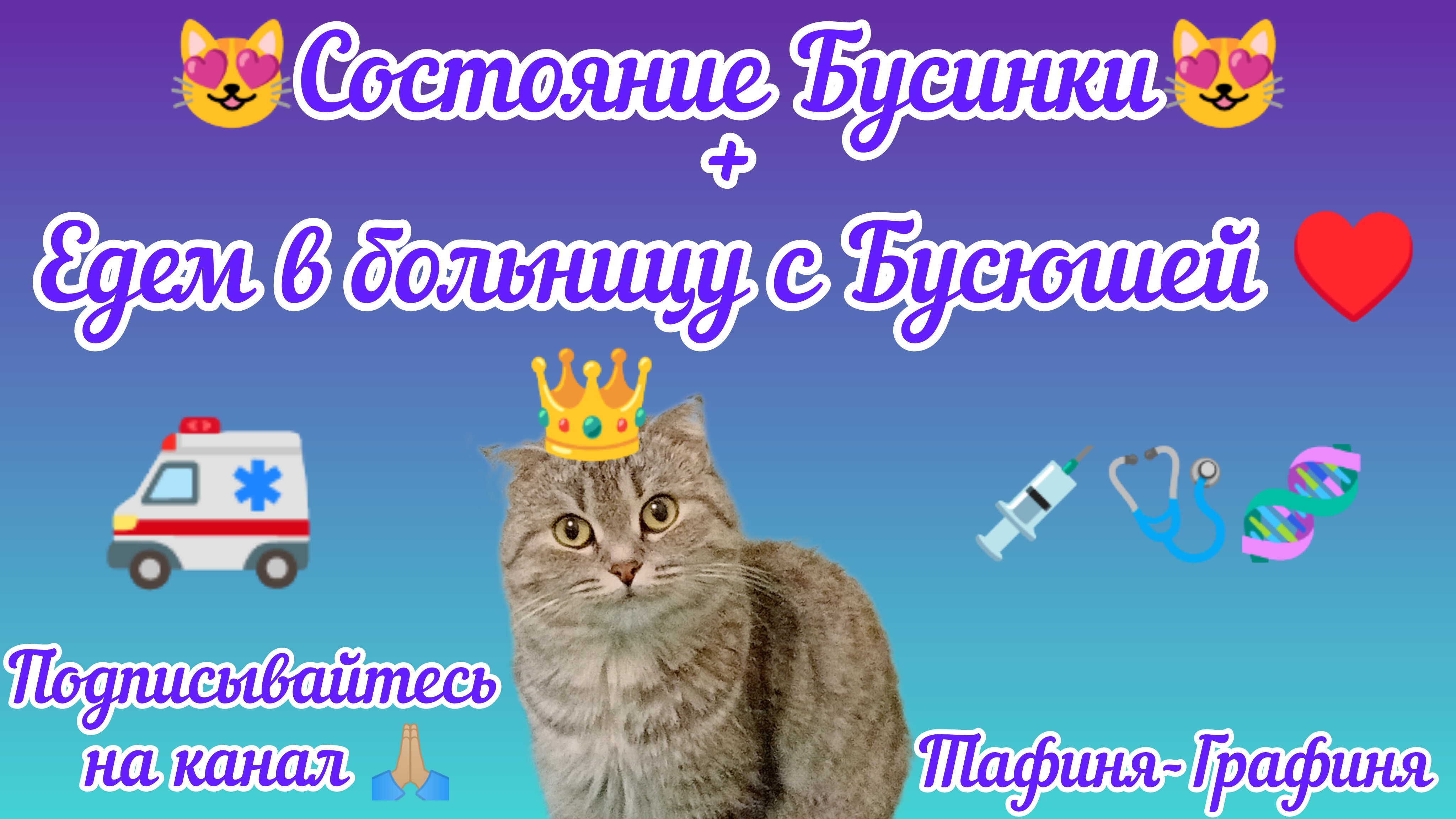 😻Бусинка поправилась😻
❤️Спасибо всем,кто переживал за Бусинку ❤️