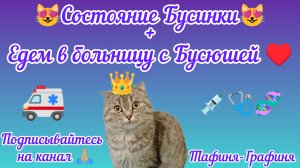 😻Бусинка поправилась😻
❤️Спасибо всем,кто переживал за Бусинку ❤️