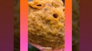 Ловля морских животных