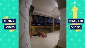 Видео нарезка приколов. Смешные моменты из жизни. Лучшие юморные сцены