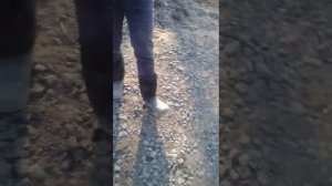 Ментовский беспредел!!!