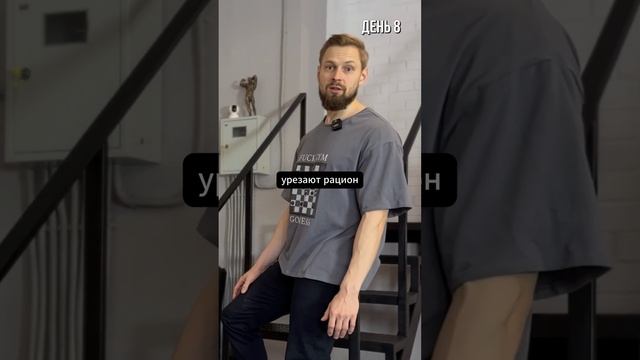 ❗️План похудения Толяна! Привожу себя в форму к лету!
