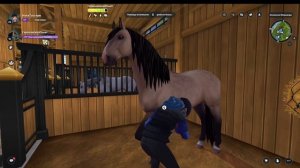 КАК ПОДНЯТЬ НАСТРОЕНИЕ ЛОШАДИ ЗА ПАРУ СЕКУНД? || Star Stable Online