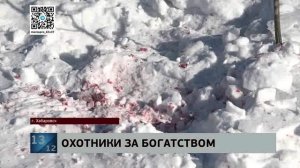 Как в 90-е: банду, грабившую состоятельных хабаровчан, начинают судить - одна из жертв была убита