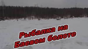 Рыбалка на Баевом болоте. 13.12.2024