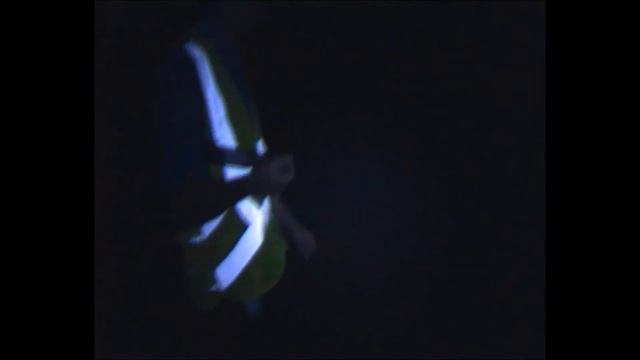 ДОРОЖНІЙ КОНТРОЛЬ ЗАКАРПАТТЯ & наряд ДАІ и ПС м. Берегово смотреть онлайн