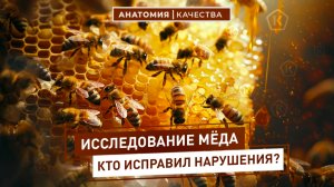 Анатомия качества|Исследование мёда: кто исправил нарушения?