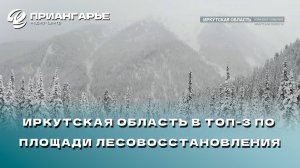 Иркутская область вошла в топ-3 регионов России по площади лесовосстановления