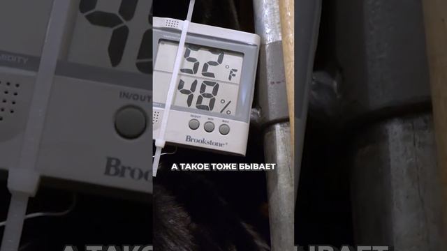 Где ХРАНИТЬ шубы в доме? #шуба #помещение #дом смотреть онлайн