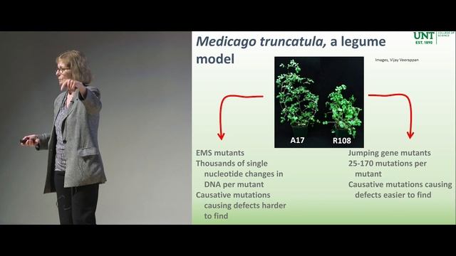 SMART Talk with Dr. Rebecca Dickstein: Over-Fertilized? Tools for Sustainable Agriculture
