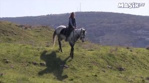 Катание верхом на коне.