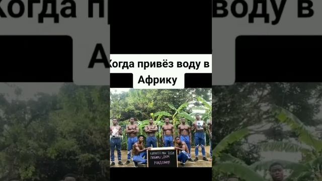 МЕМЫ С НЕГРАМИ #негр #мемы #угар #анекдоты #шуткипронегров водаунегров #вода смотреть онлайн