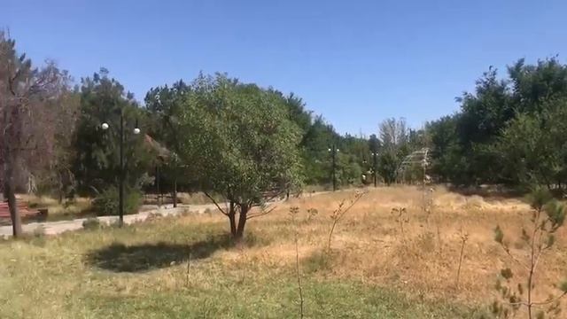 В Аксукенте сохнет парк смотреть онлайн